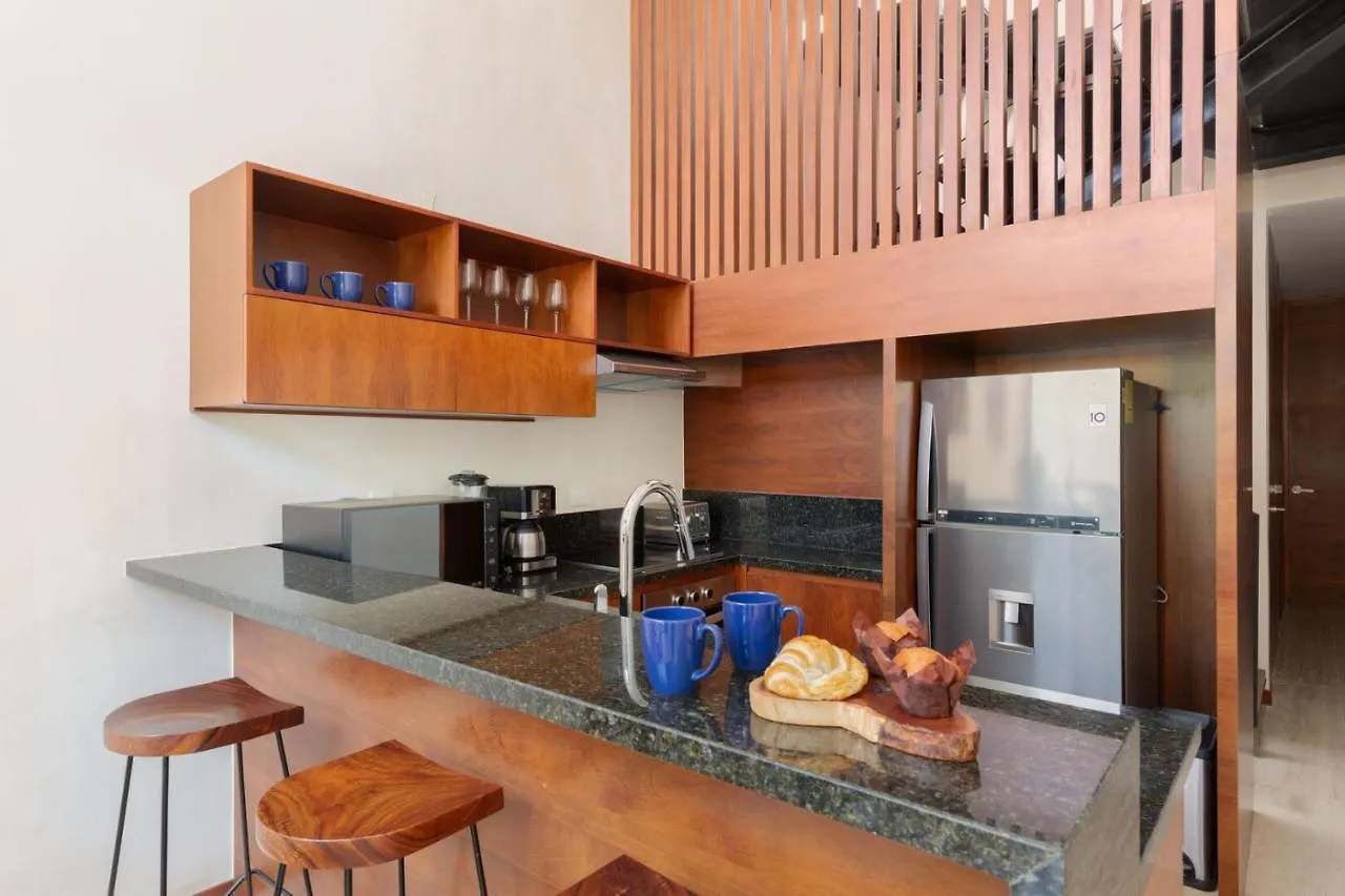 Luxury 2Br Apartment Aldea Zama With Private Rooftop Plunge Pool 24 7 Security In A Gated Community Tulum 0*,  México